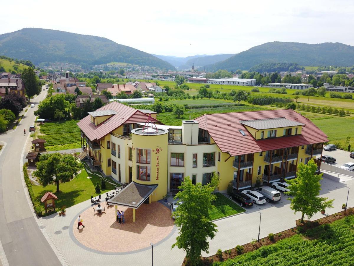 Hotel Gasthaus Mosers Blume Haslach im Kinzigtal Zewnętrze zdjęcie